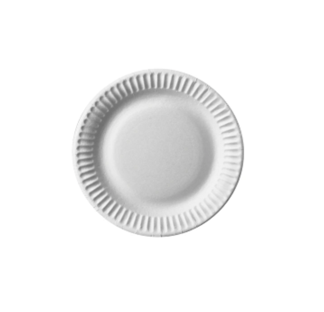 Assiettes en plastique – grand modèle – 20 pcs