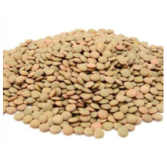 Lentilles en vrac – 1kg