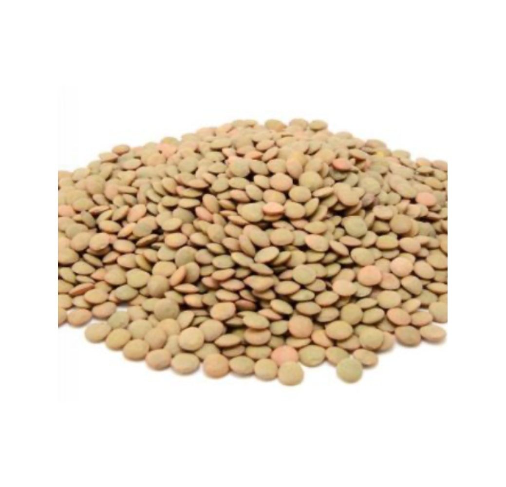 Lentilles en vrac – 1kg