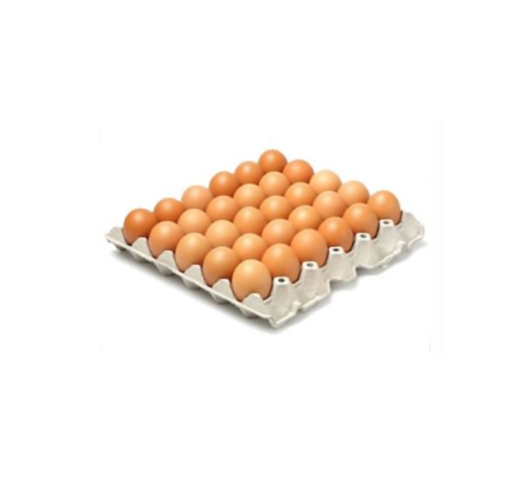 Oeufs frais – 30pcs