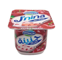 Yaourt J’Nina Cerise – Soummam
