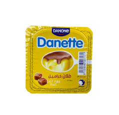 Yaourt Pot Danone Danette Flan Caramel