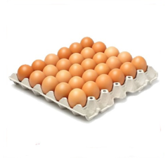 Oeufs frais – 30pcs