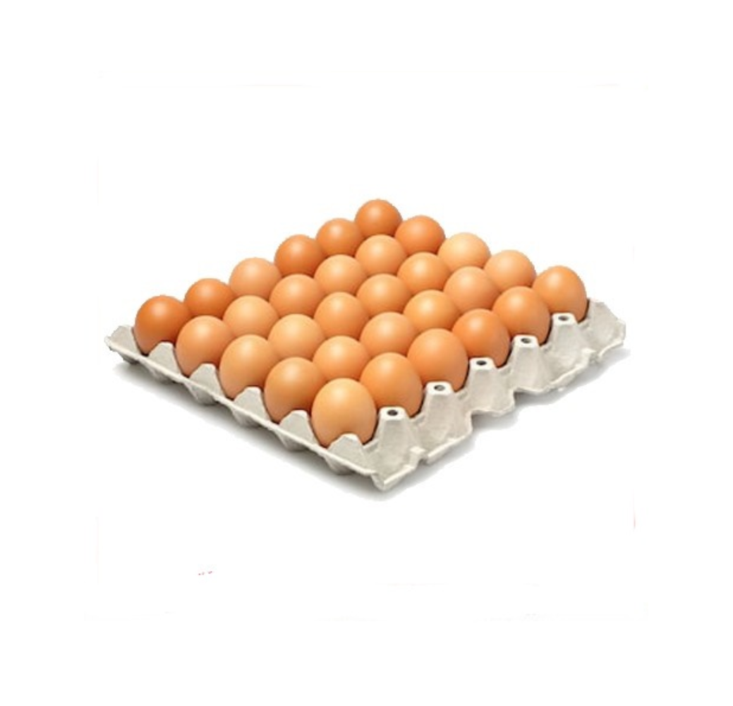 Oeufs frais – 30pcs