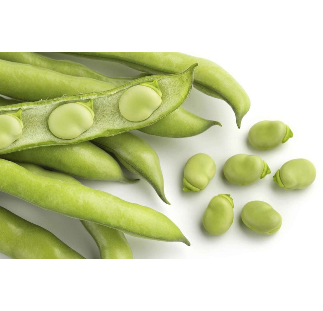 Haricot vert (1kg) 
