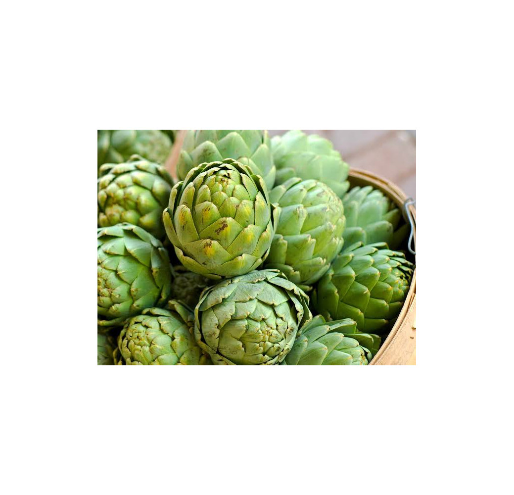 Artichaut (1kg) 